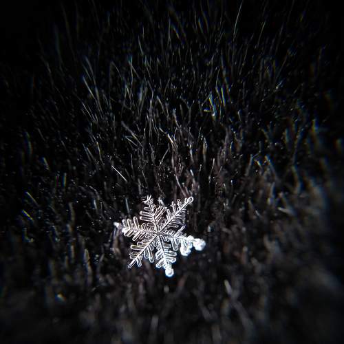 Photo #6933321