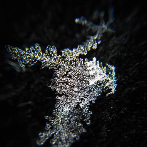 Photo #6933335