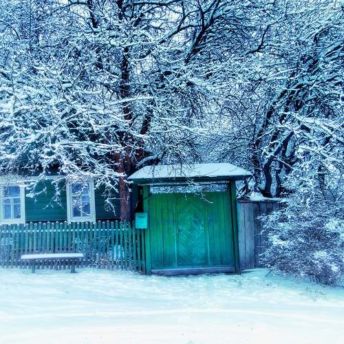Photo #6933451