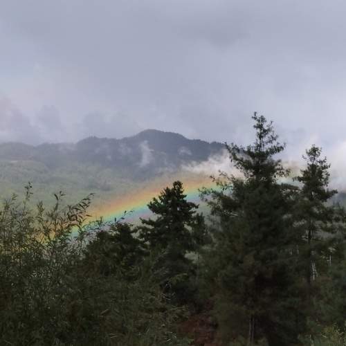 Photo #6933773