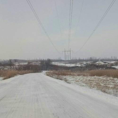 Photo #6934511