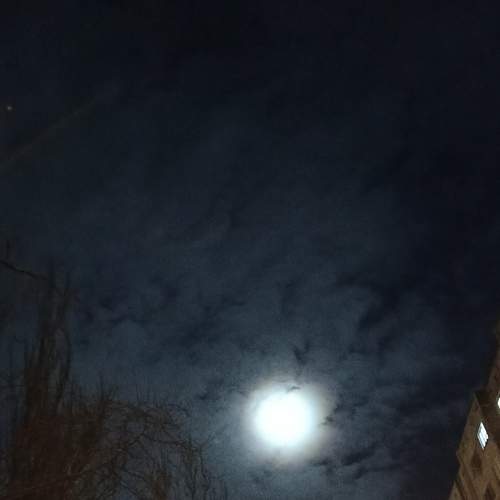 Photo #6934649