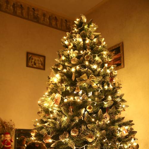 Photo #6934659
