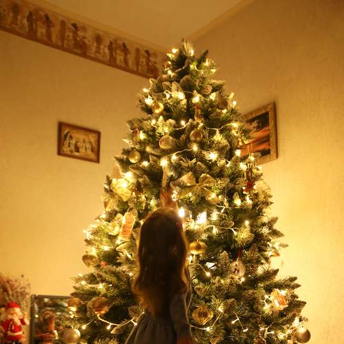 Photo #6934665