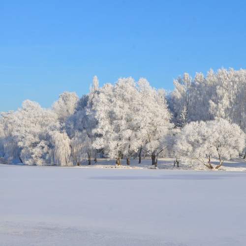 Photo #6934692