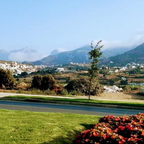 Photo #6934804