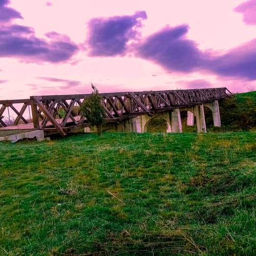 Photo #6934975