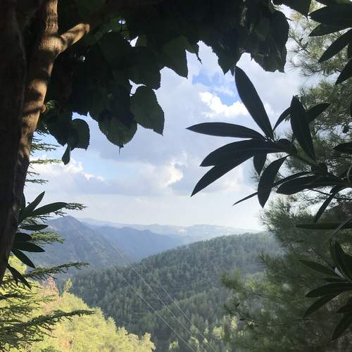Photo #6935018