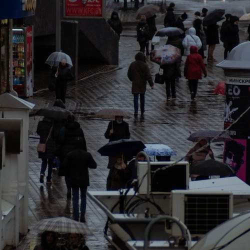 Photo #6935092