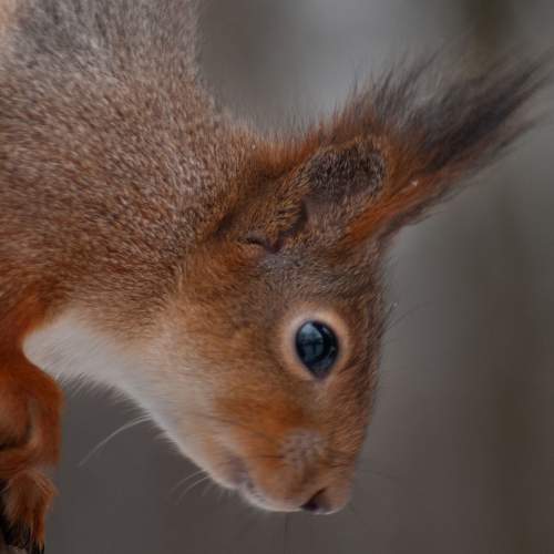 Photo #6935157