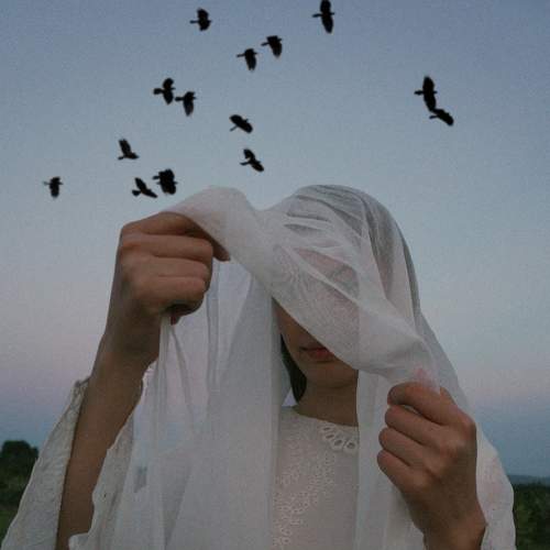 Photo #6935915