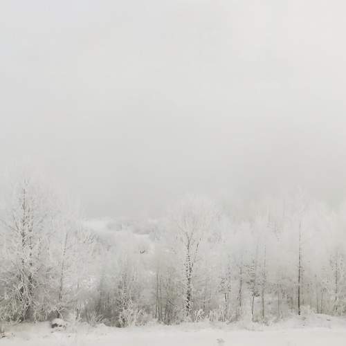 Photo #6936134