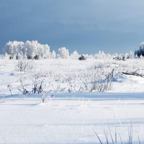Photo #6936252