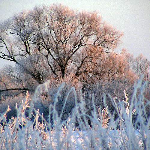 Photo #6936257
