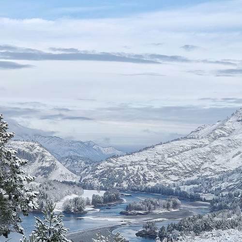 Photo #6936428