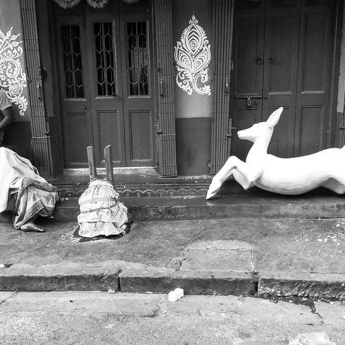 Photo #6936451