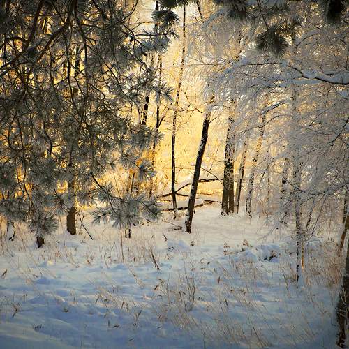 Photo #6936877