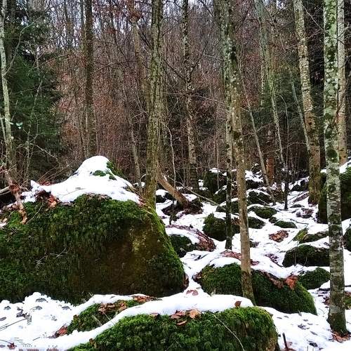 Photo #6936975