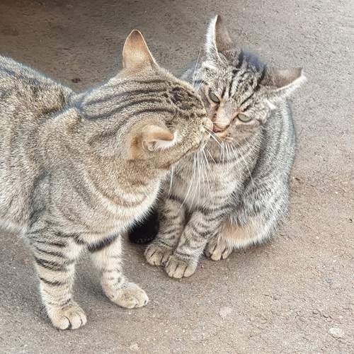 Photo #6937158