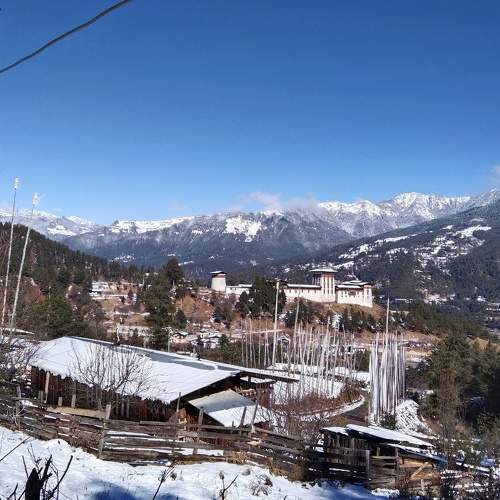 Photo #6937437