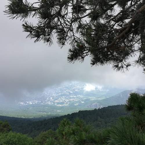 Photo #6937663
