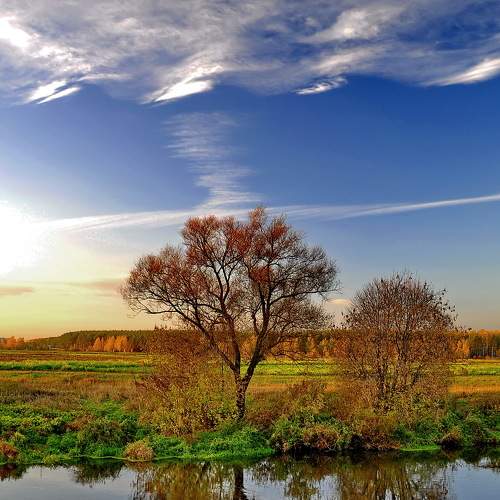 Photo #6937777