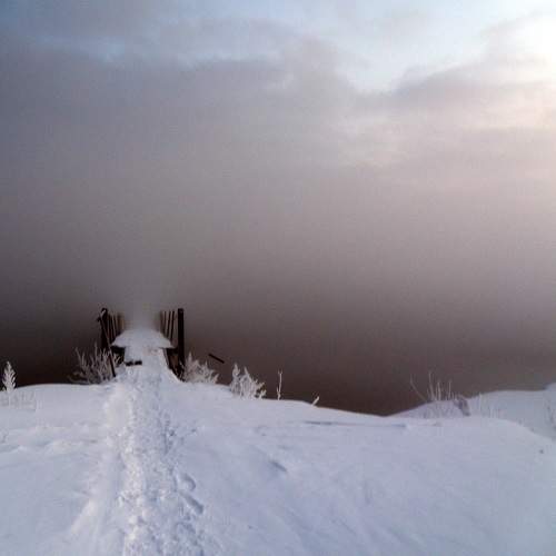 Photo #6937782
