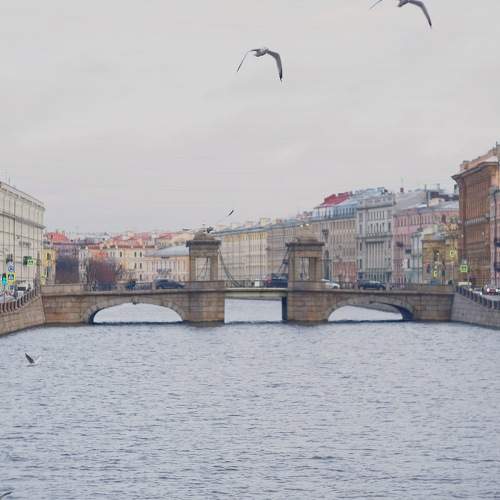 Фотография #6937889