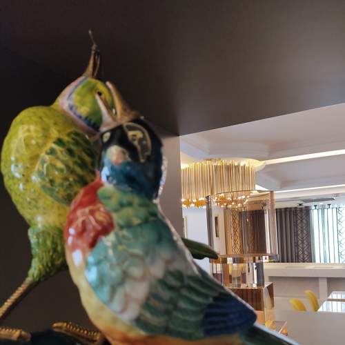 Photo #6937951