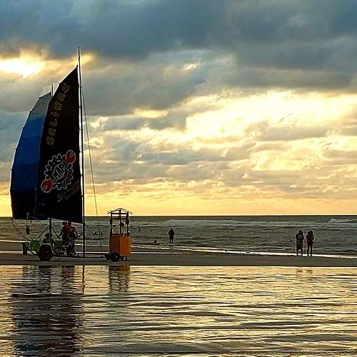 Photo #6938192