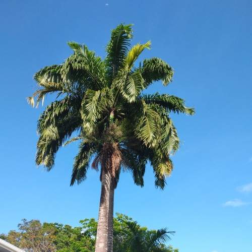 Photo #6938401