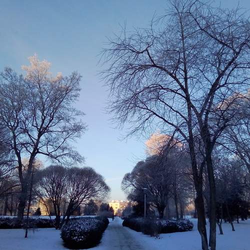 Photo #6938404