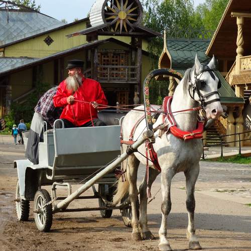 Photo #6938411