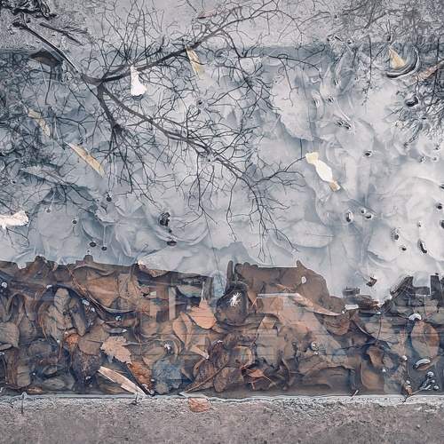 Photo #6938574