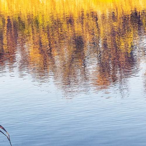 Photo #6938589