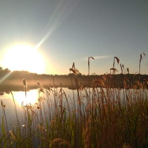 Photo #6938715