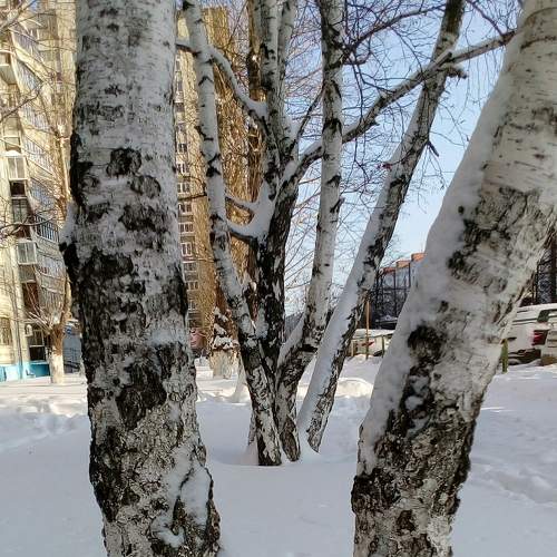 Photo #6938967