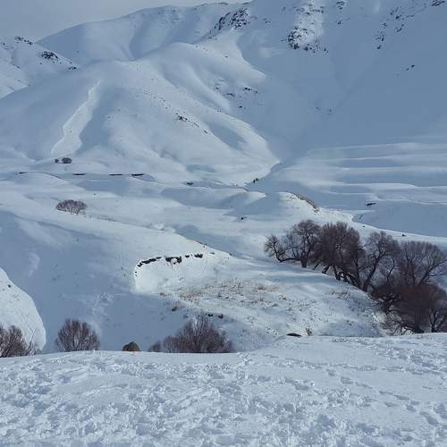 Photo #6939122