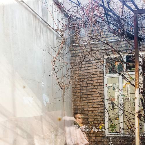Photo #6939132