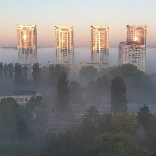 Photo #6939178