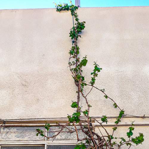 Photo #6939293