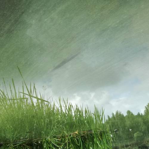 Photo #6939469