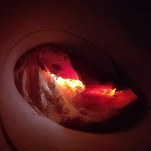 Photo #6939500