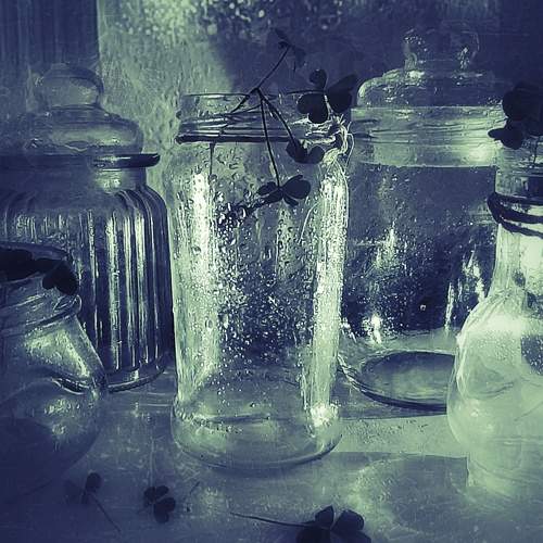 Photo #6939978