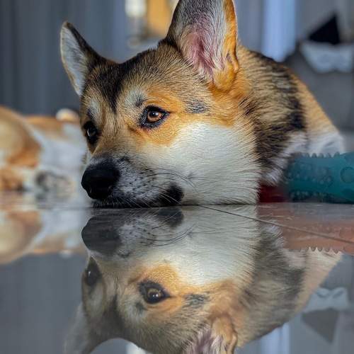 Photo #6940199