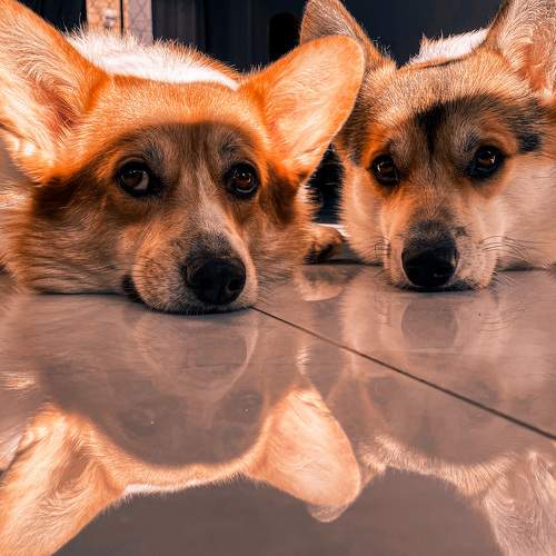 Photo #6940200