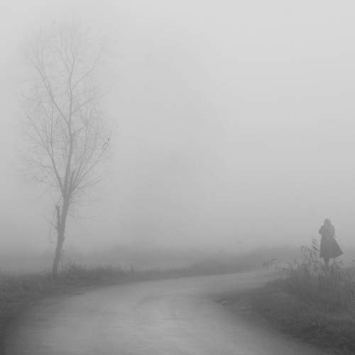 Alone in fog