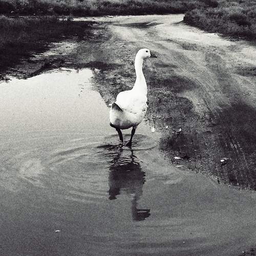 Photo #6941110