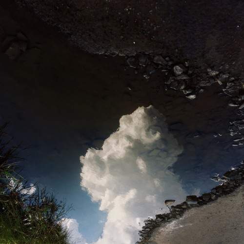 Photo #6941147
