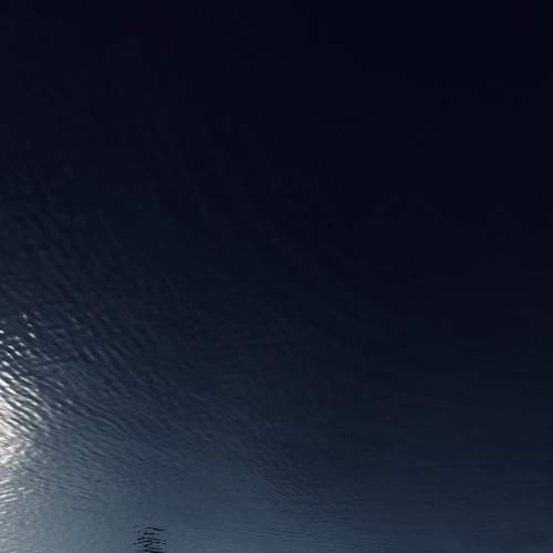 Photo #6941183
